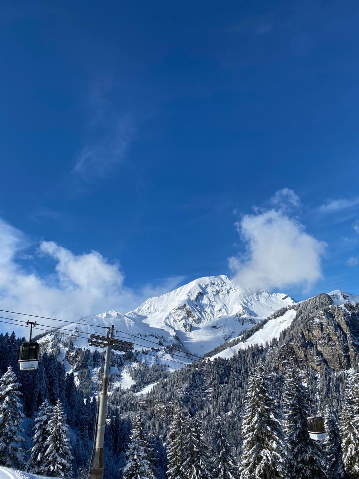 Le Roitelet Hotel Chatel Exterior photo