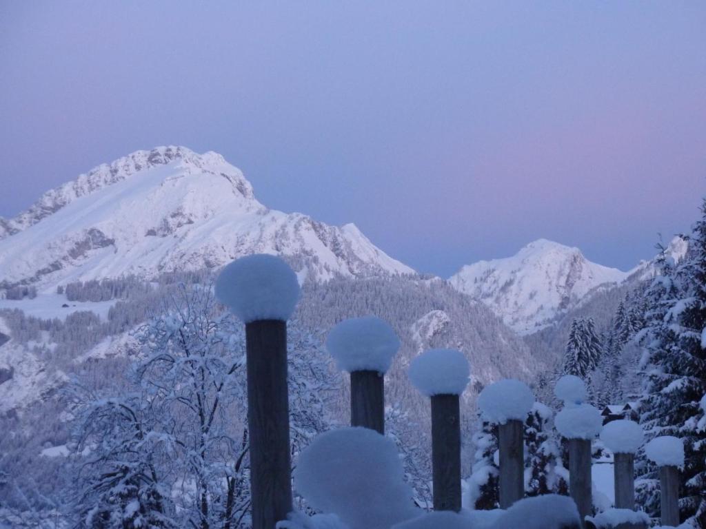 Le Roitelet Hotel Chatel Exterior photo